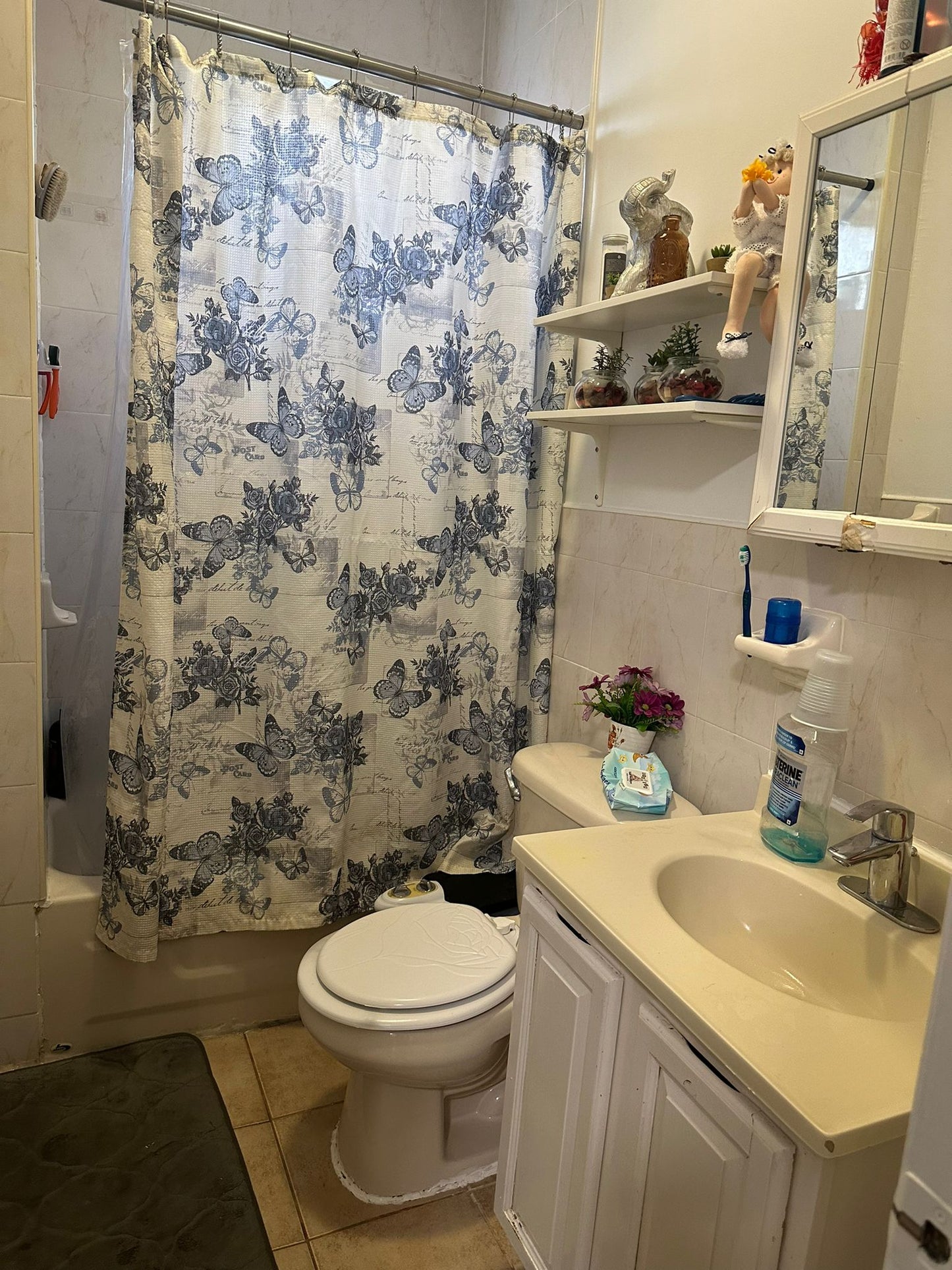 Habitación amueblada en Elmhurst, Queens. Alojamiento solo para hembras con gatos.