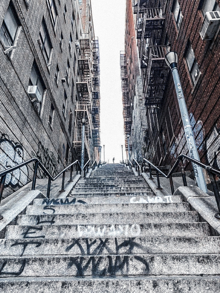 The Bronx: Soul, Story, and Street Energy