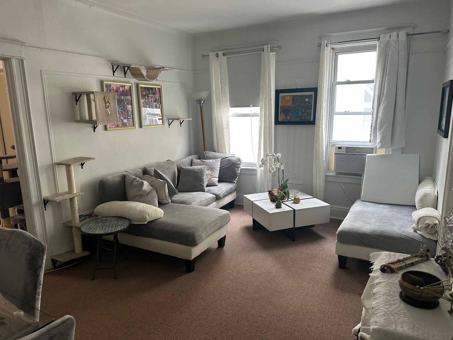 Habitación amueblada en Elmhurst, Queens. Alojamiento solo para hembras con gatos.